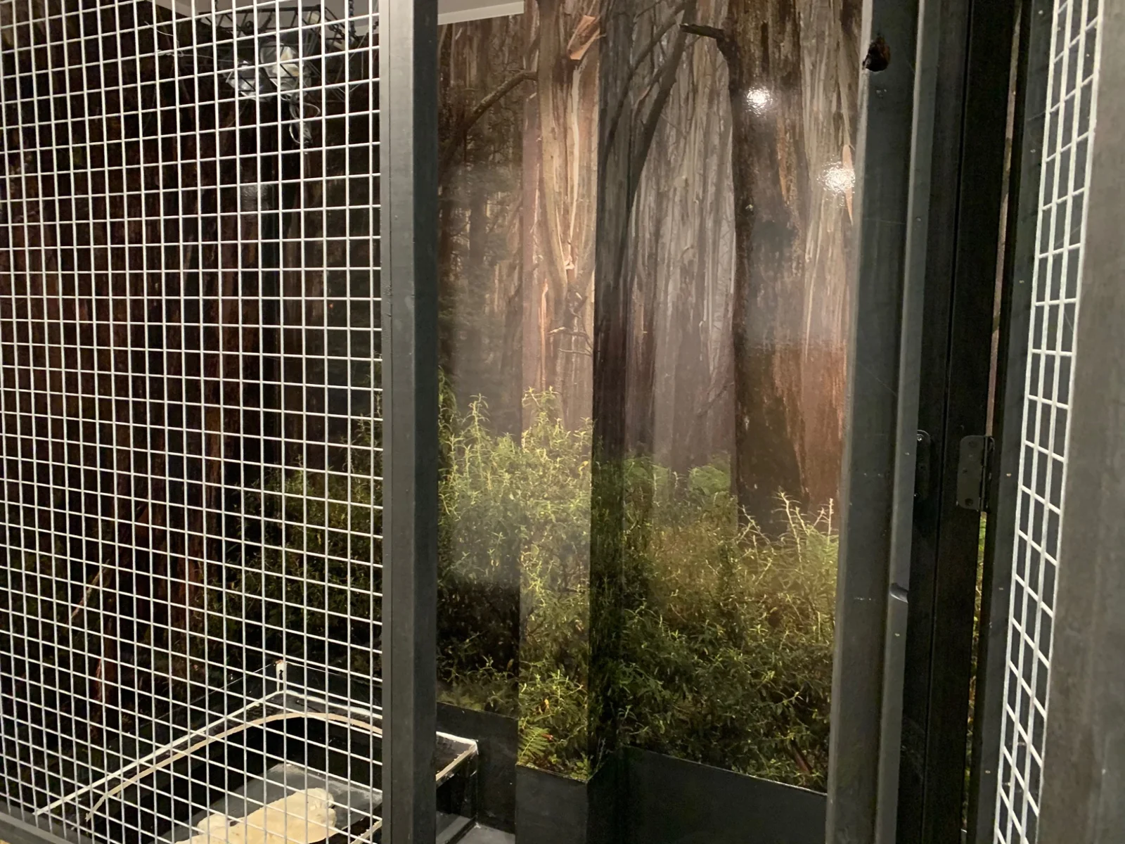 RADesignz project: Forest artwork on shower glass